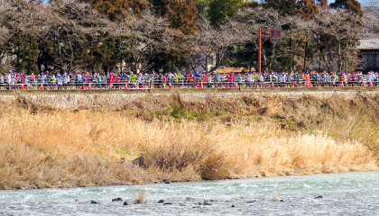 嵐山をバックに走る イメージ